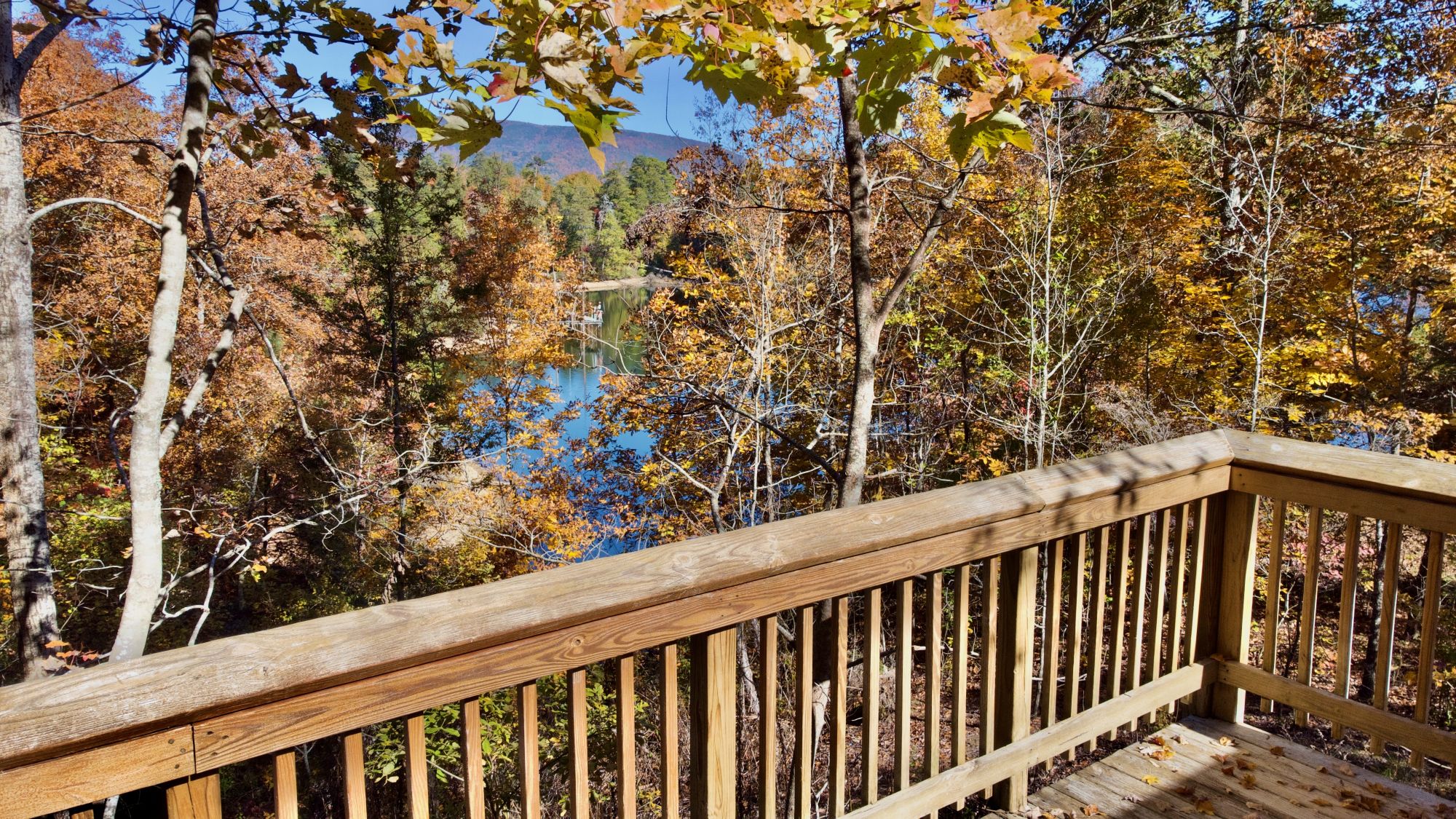 Family Cabin Porch View